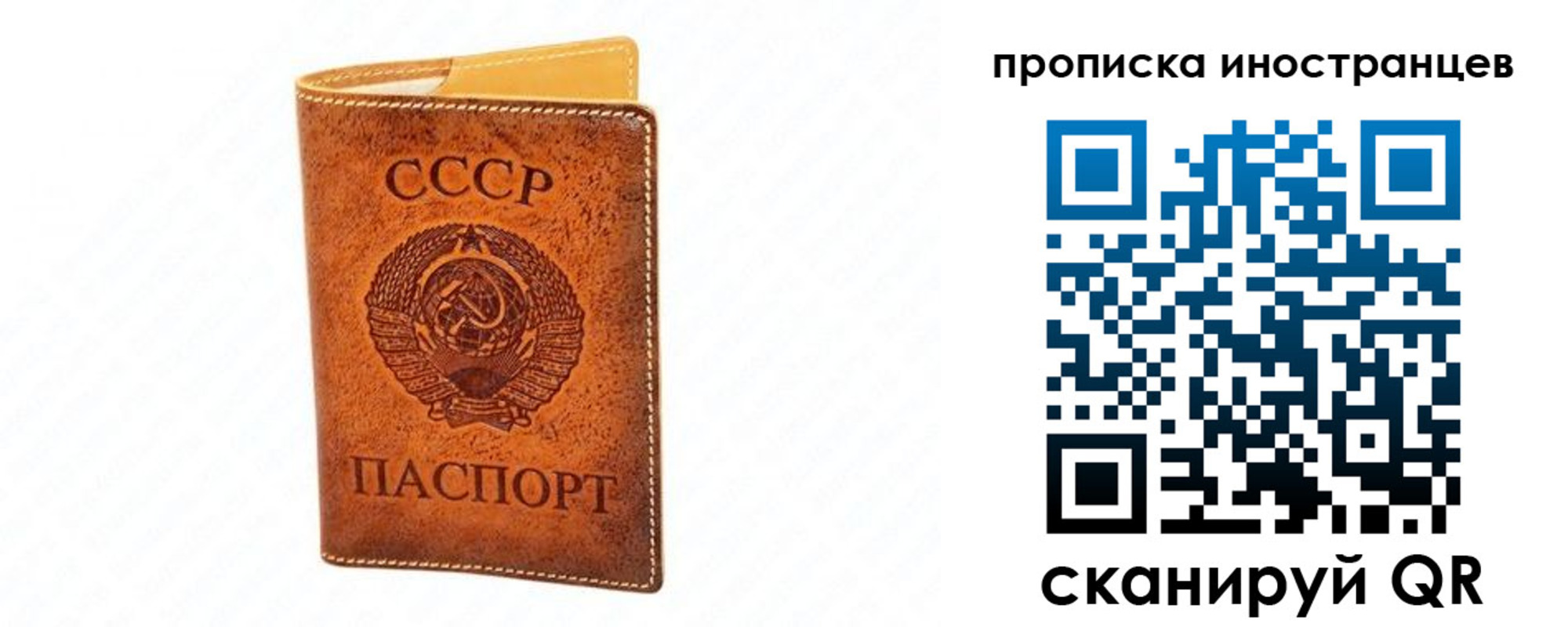 прописка для школы в Кургане